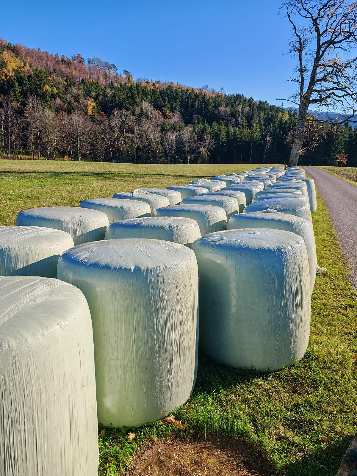 Bio Mais Silage Ballen 1