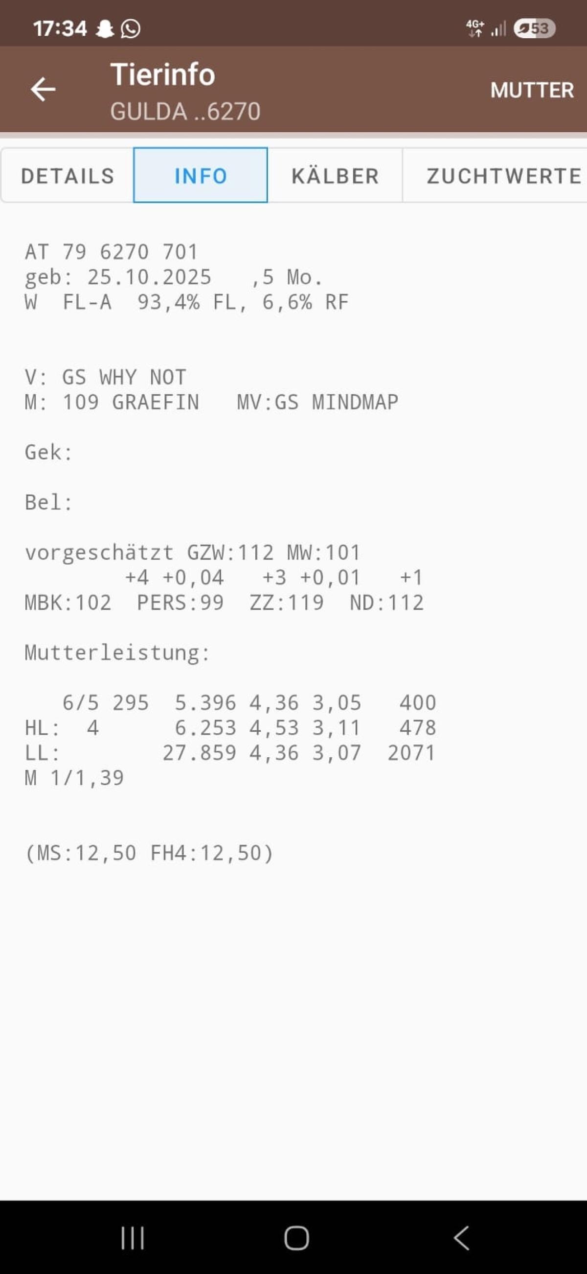 Bio Kuhkalb Fleckvieh 3