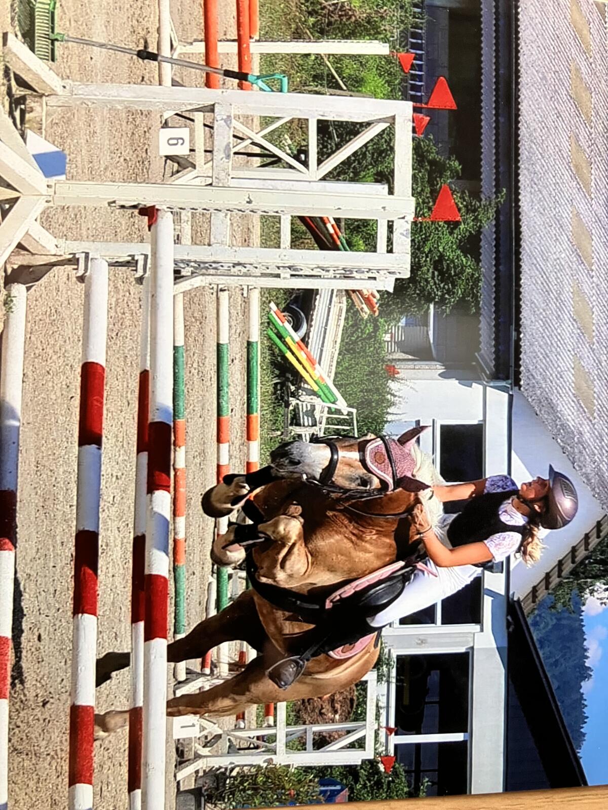 Beistellpferd bedingt reitbar 2