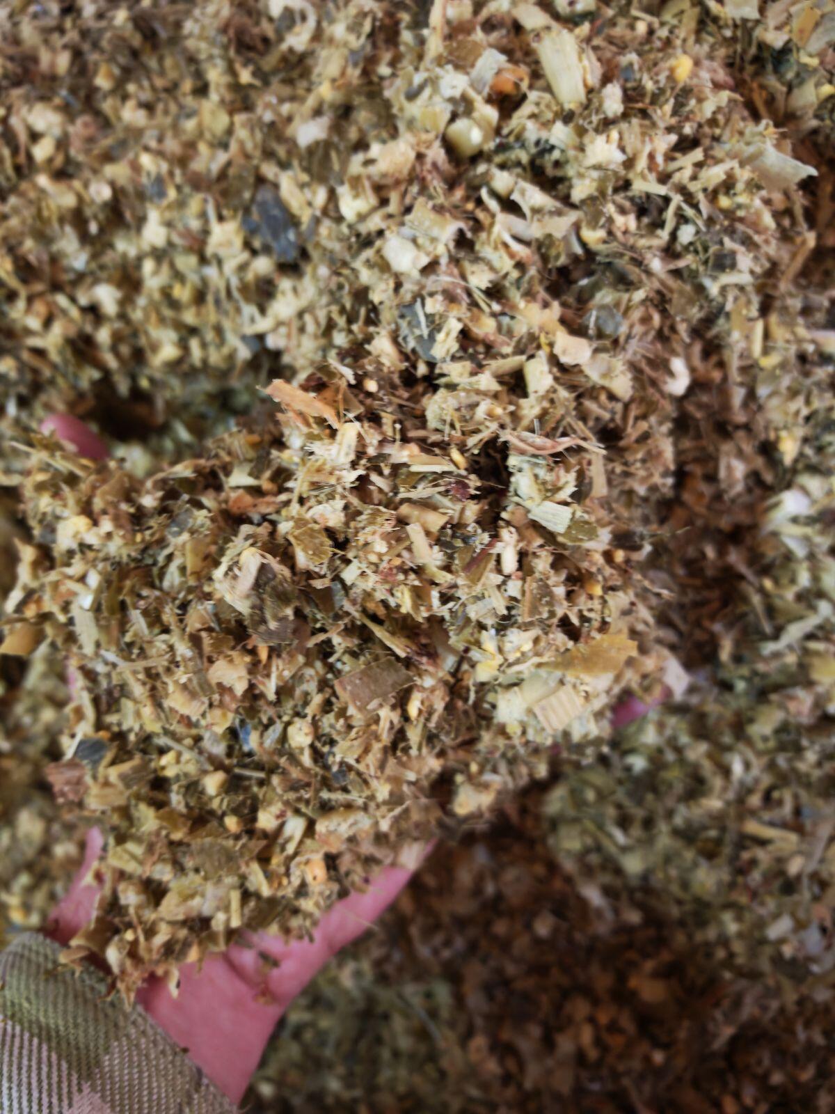 Bio Mais Silage Ballen 2