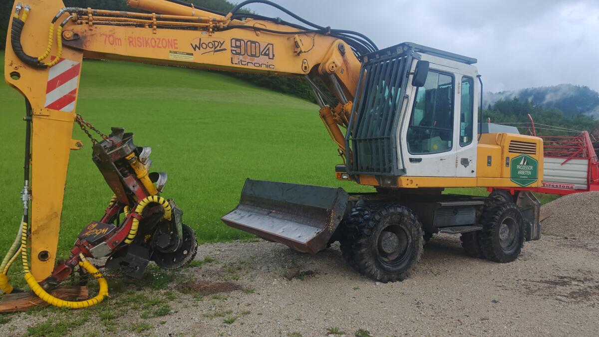 Prozessor Bagger mit Woody 60 3
