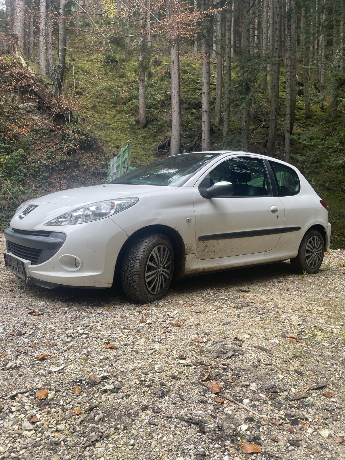 Peugeot 206+ 1