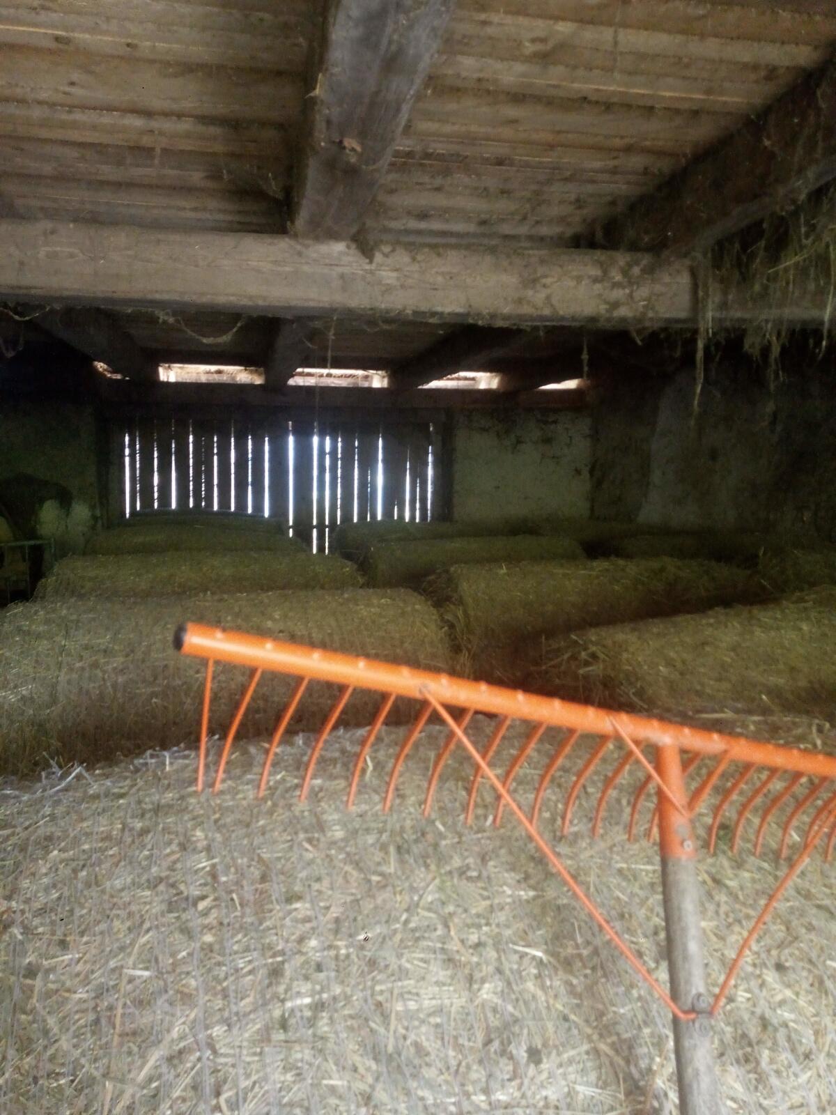 Heu (Dm. 1,25 m) Schnitt 2024 und 2025 2