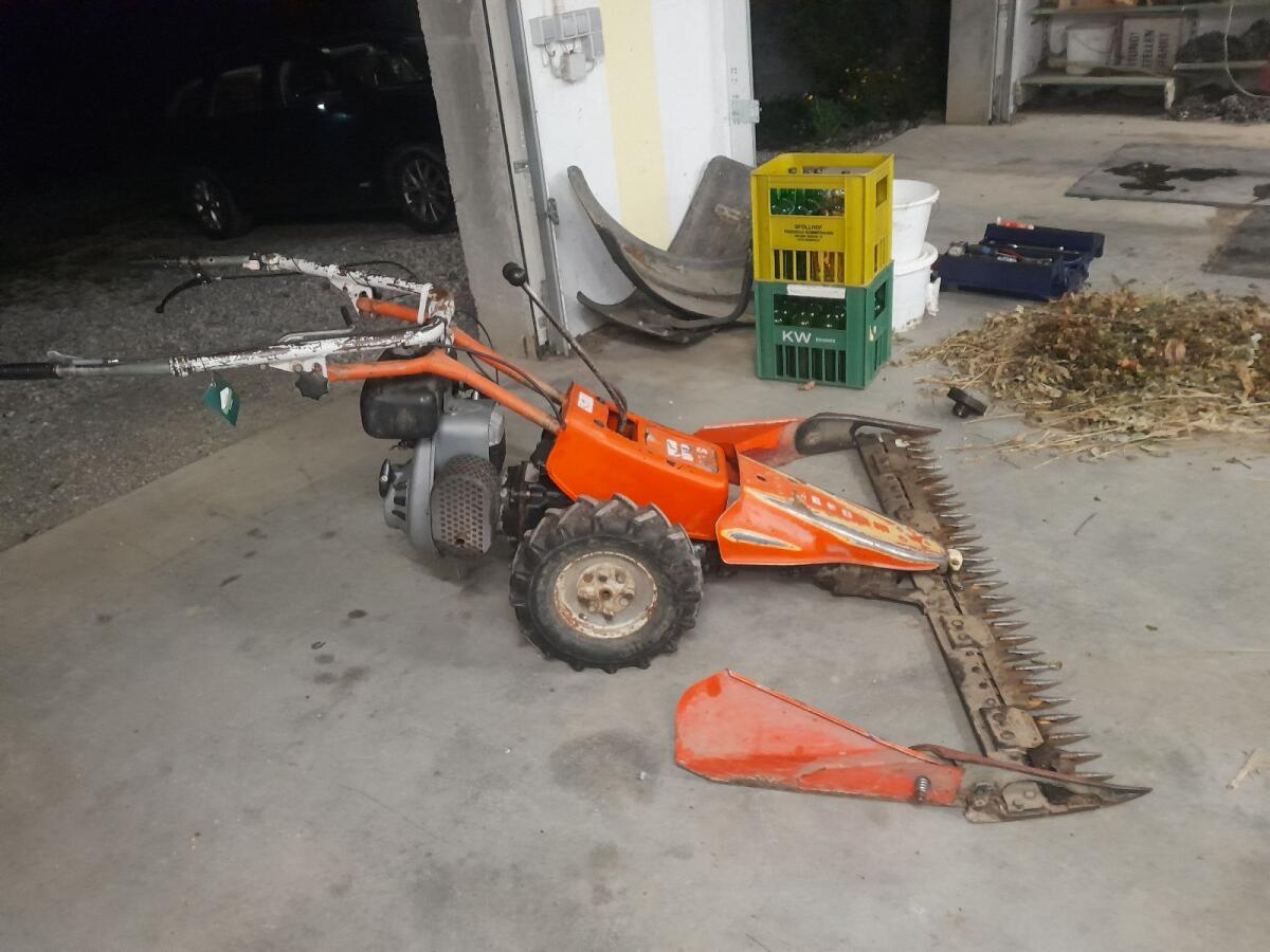 Reform Motormäher 116 Rotax 2