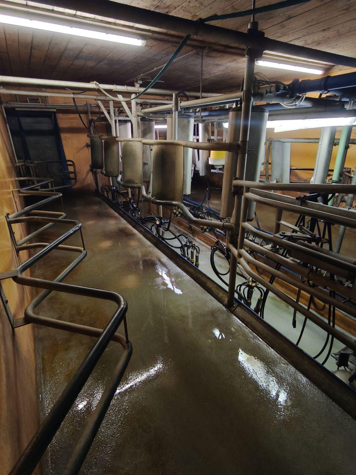 DeLaval Melkstand 2x4 MP 780 2