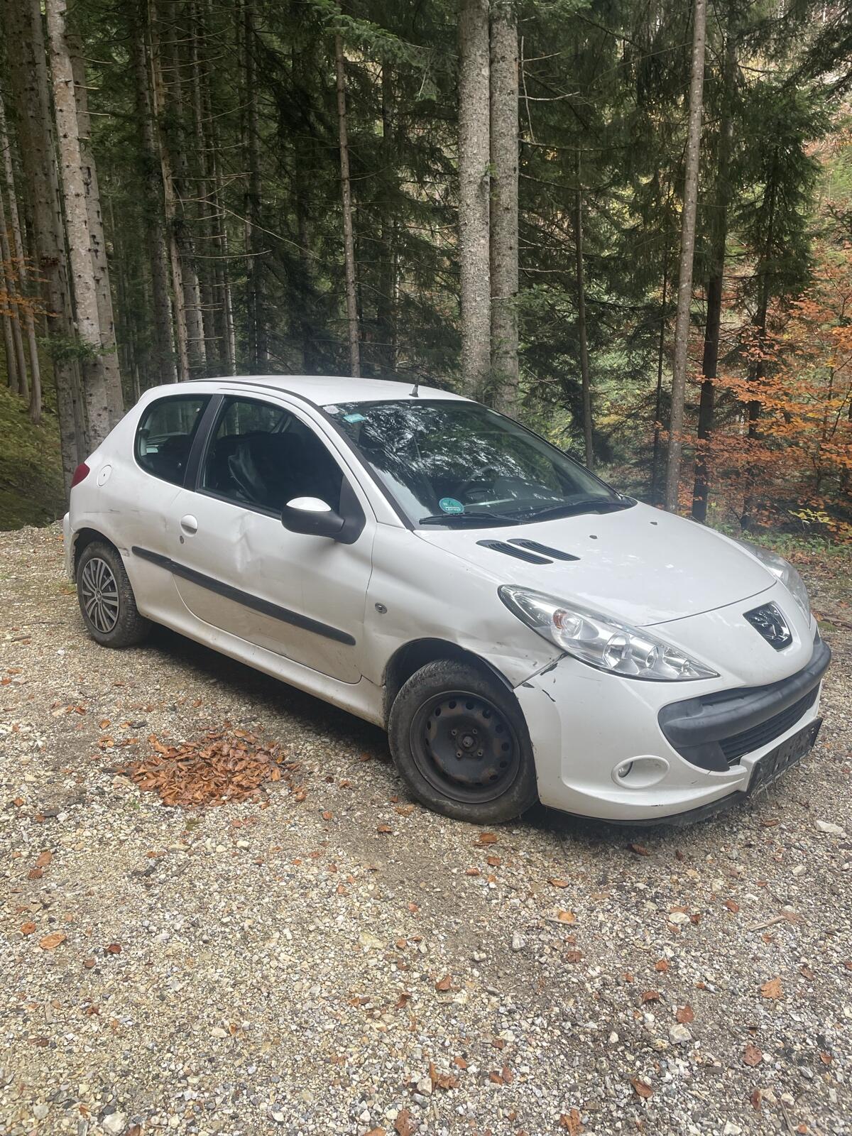 Peugeot 206+ 3