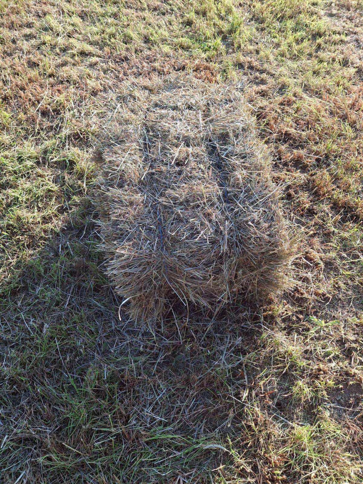 Bio Kleinballen Hochdruckballen 2