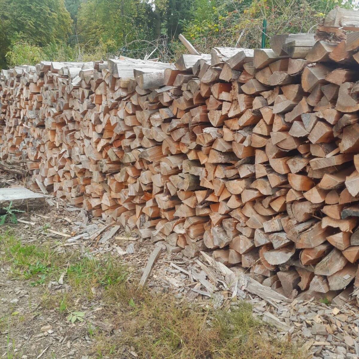 Brennholz trocken ab € 80,- 1