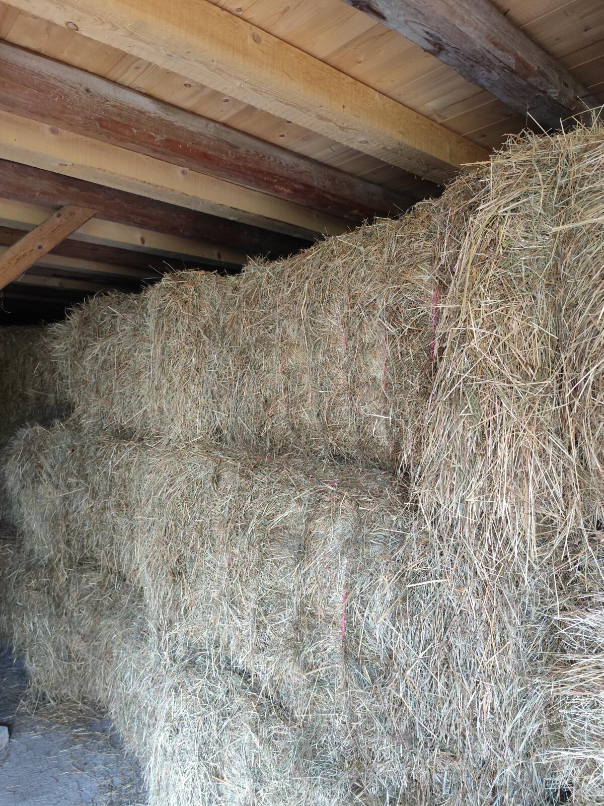 Heu günstig zu verkaufen 1