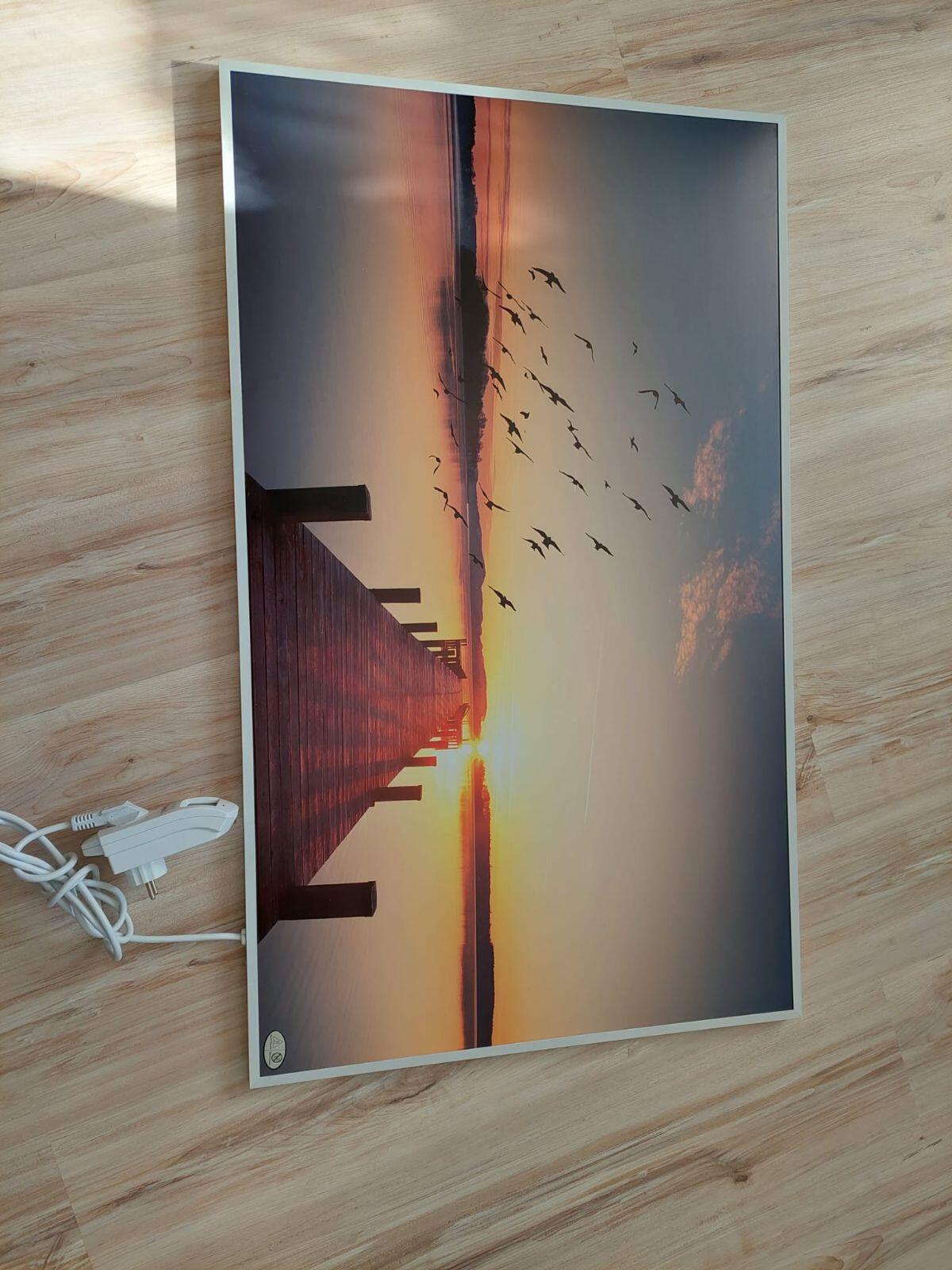 Wandheizung Bildheizung Infrarotheizung Königshaus 600W 3