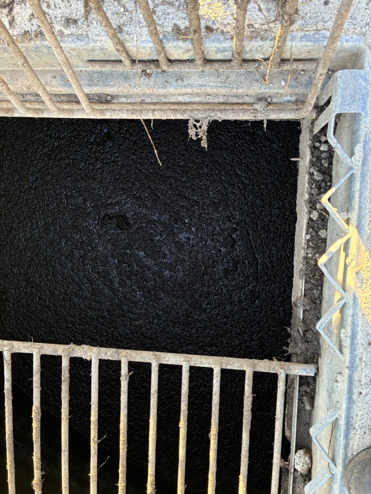 Gülle zu verschenken 1