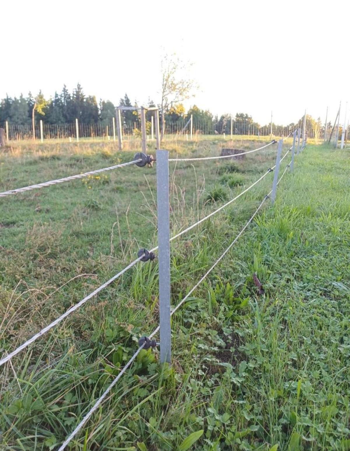 Zaunsteher verzinkt 100cm 3