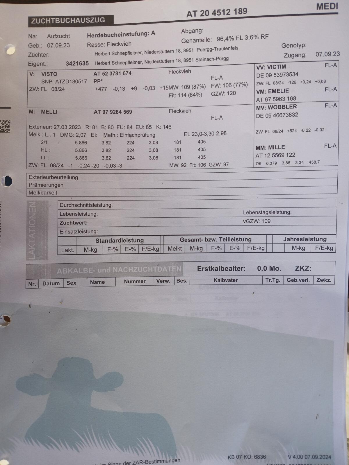 Verkaufe Fleckviehkalbin 3