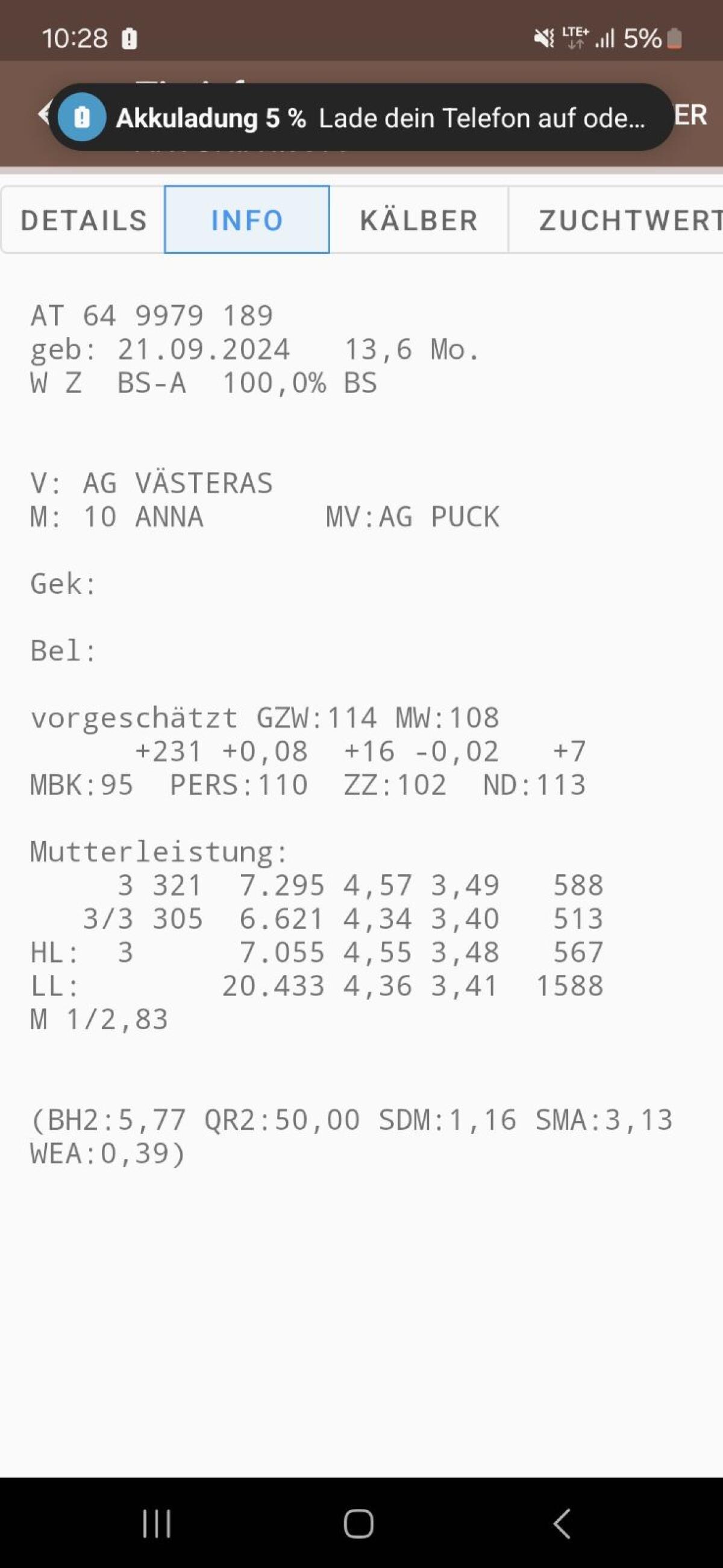 Bio Braunvieh Kalbin 3