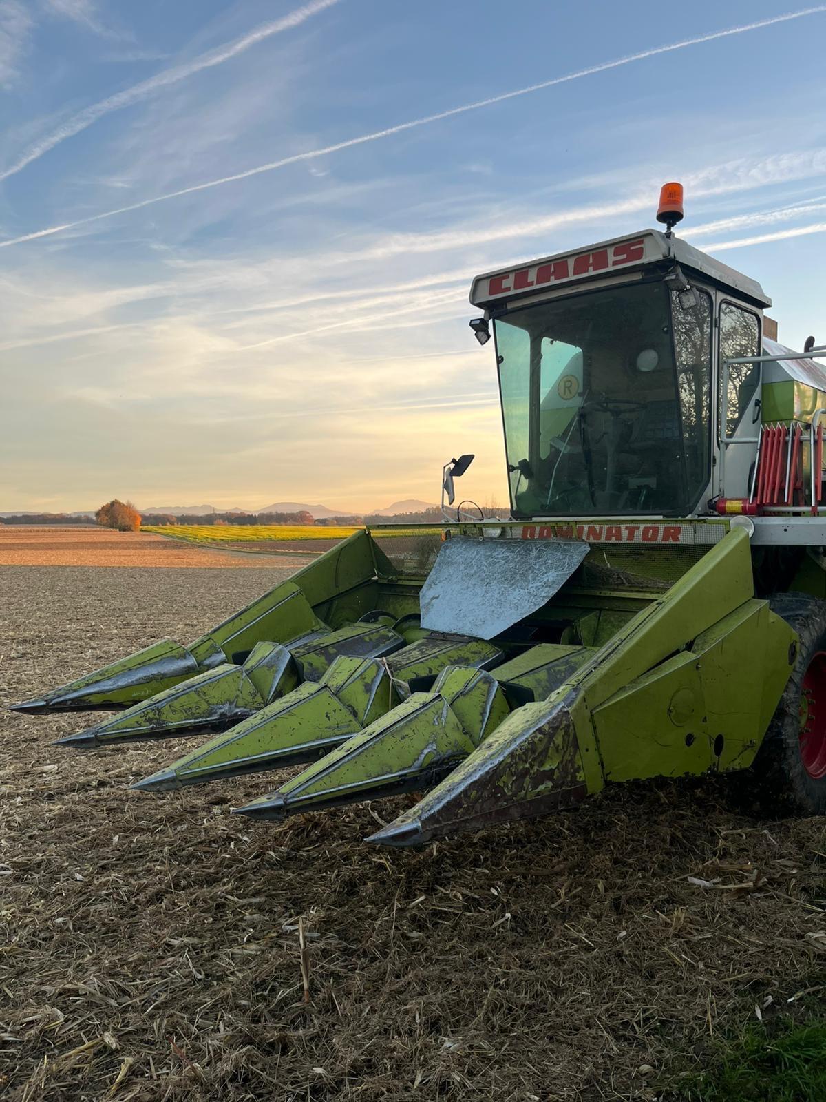 Gebrauchter Claas Maispflücker 1