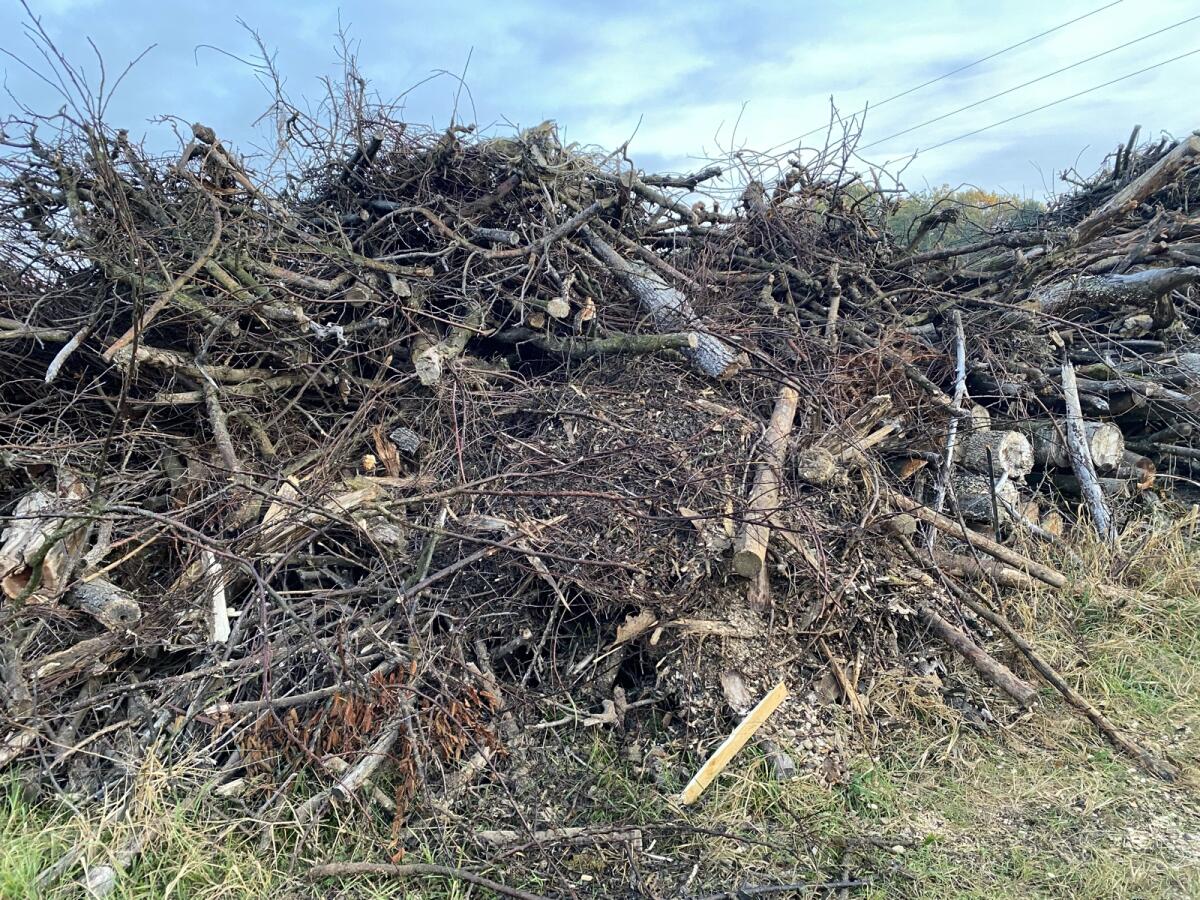 Hackgut Ausgangsmaterial 2