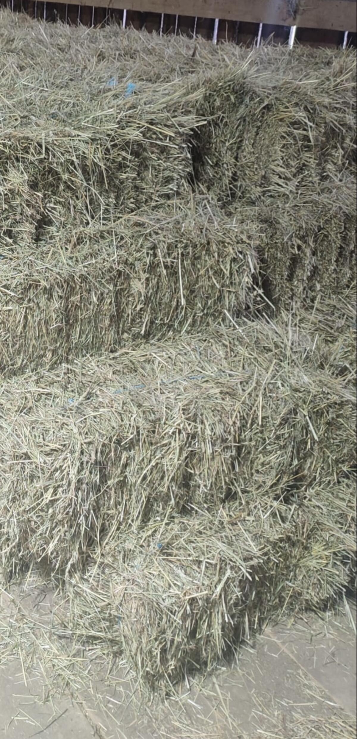 Suche Heu-Kleinballen (15 kg) 1. Schnitt 2025 2