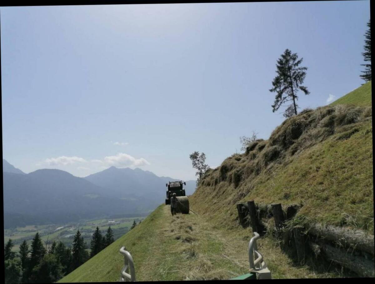 Heu und Grummet, Ballen 3