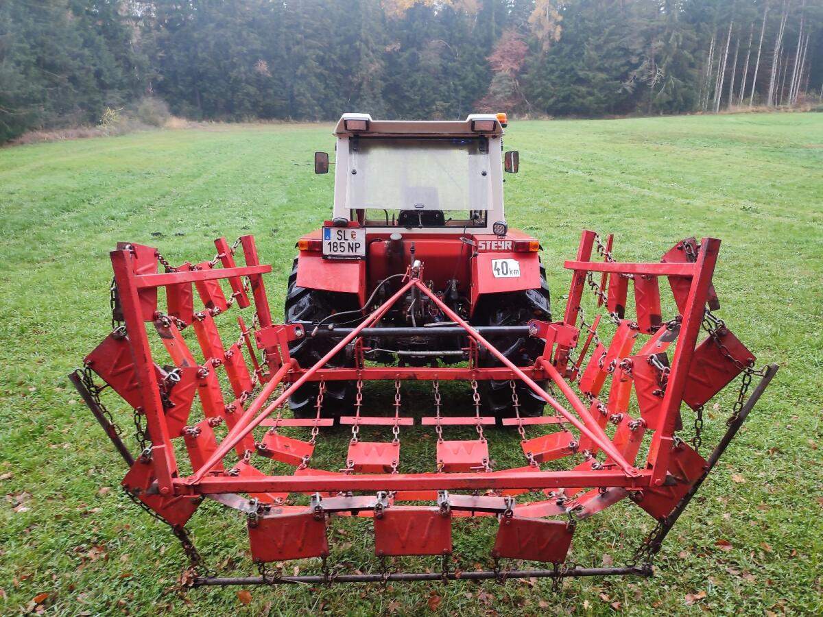 Wiesenegge Wölfleder 2