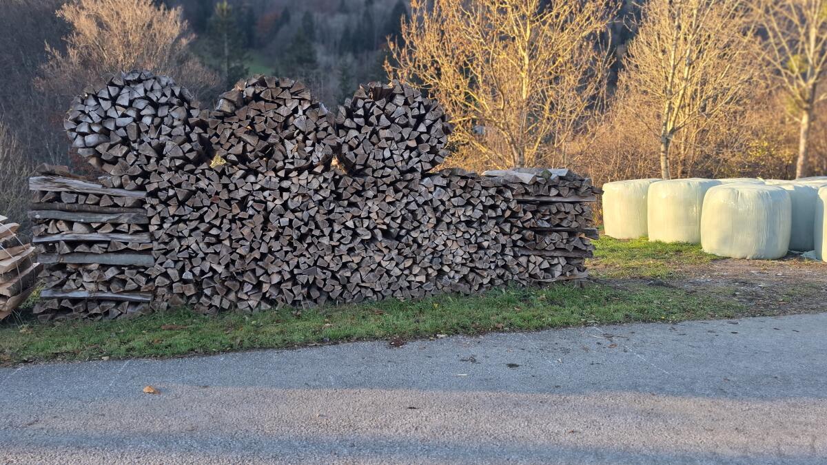 Buche Brennholz 1