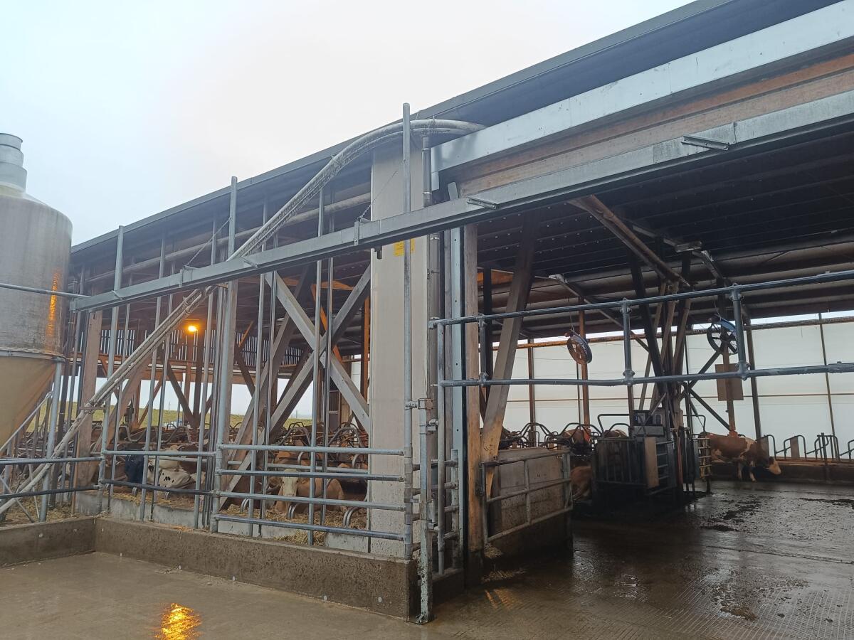 2 Kraftfutterschnecke zu verkaufen 2