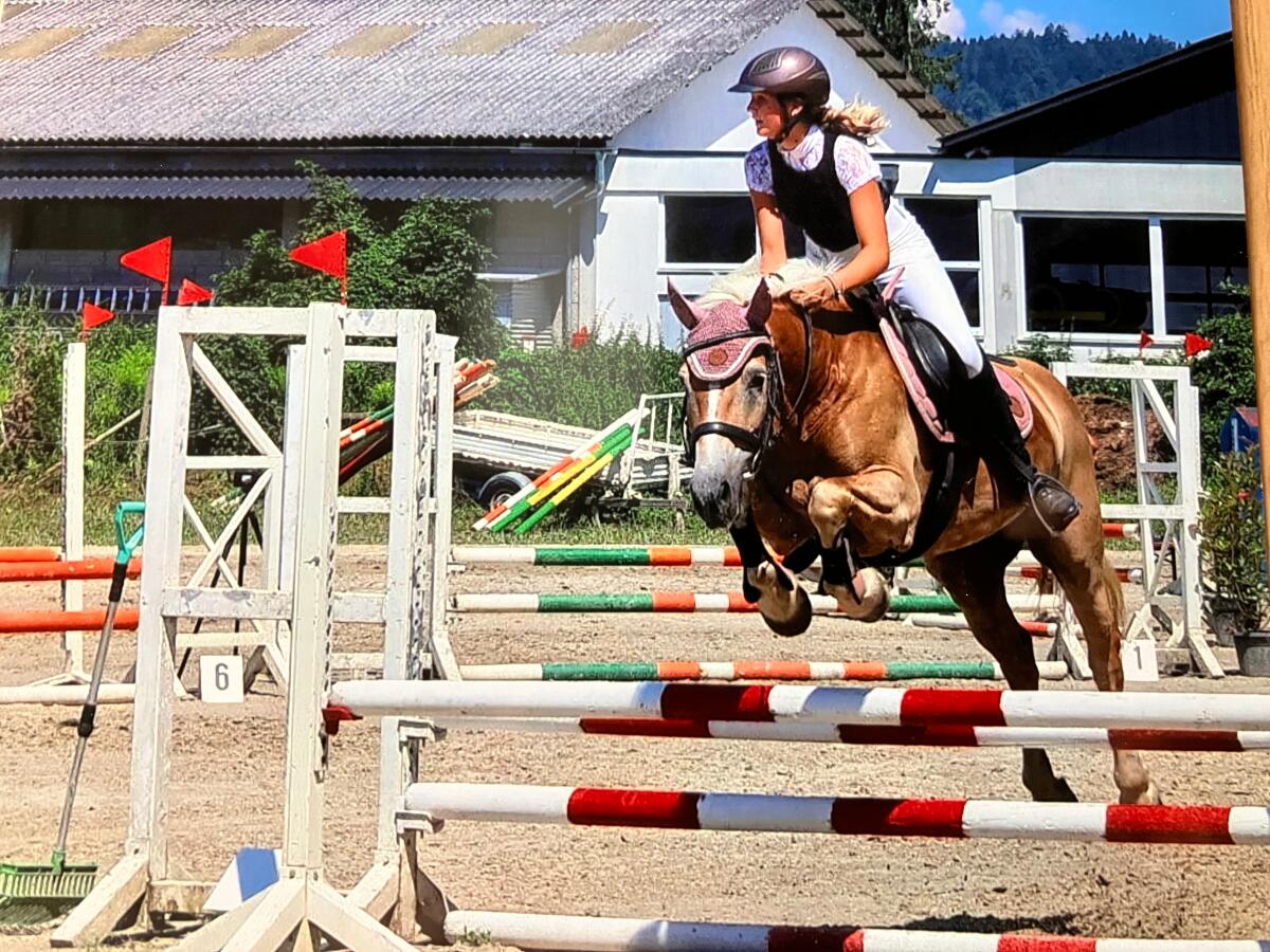 Beistellpferd bedingt reitbar 1