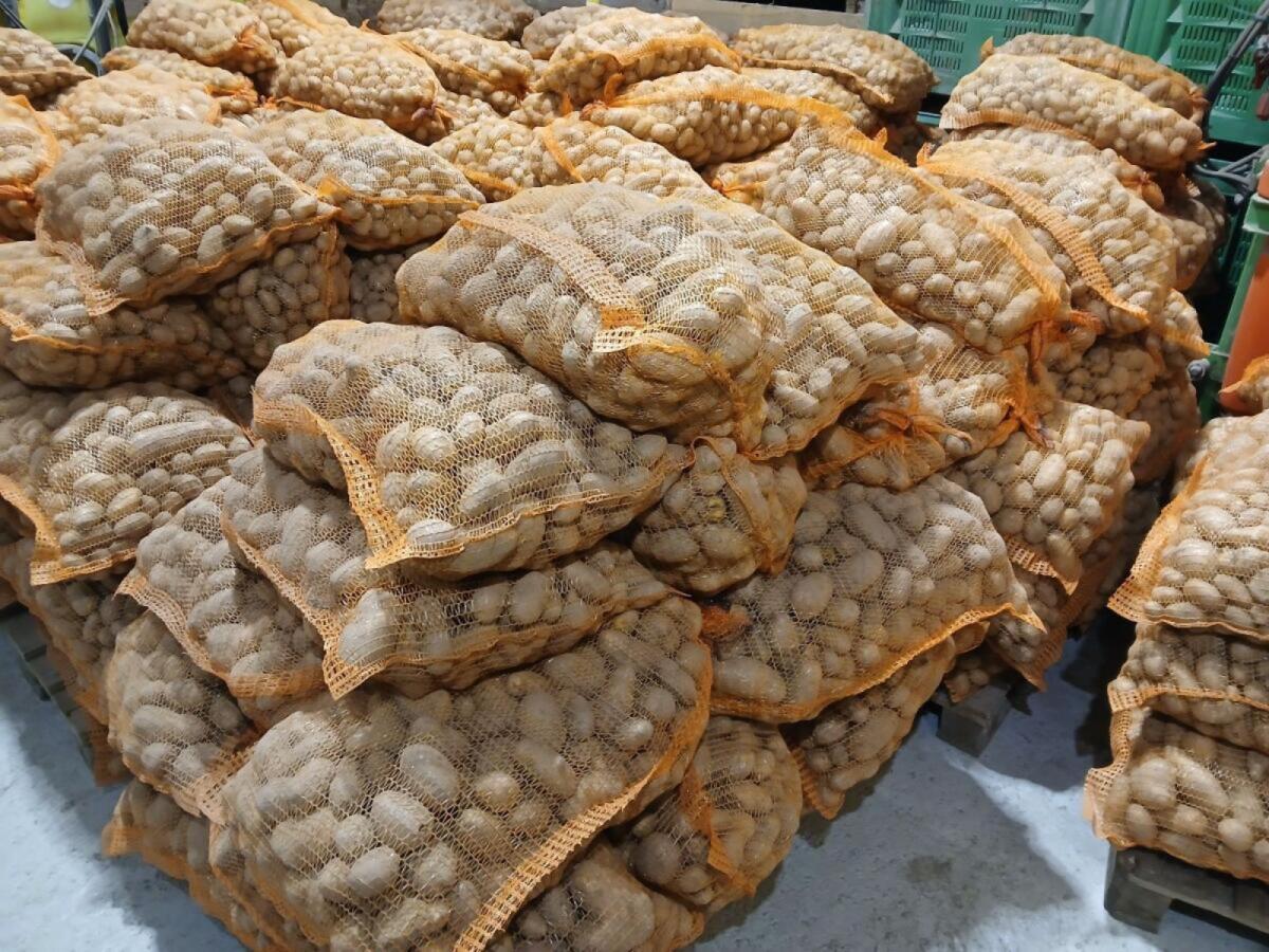 Futterkartoffeln, Futtererdäpfel 2