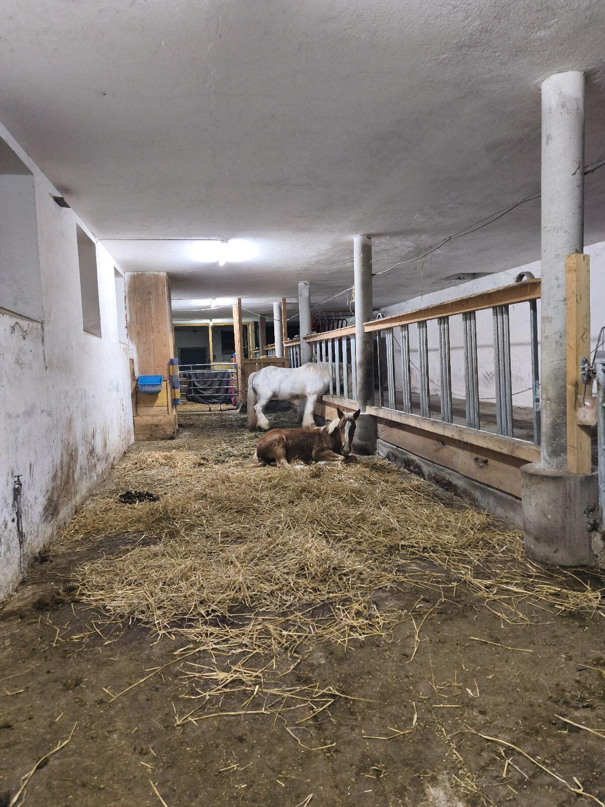 Einstellplätze frei 2