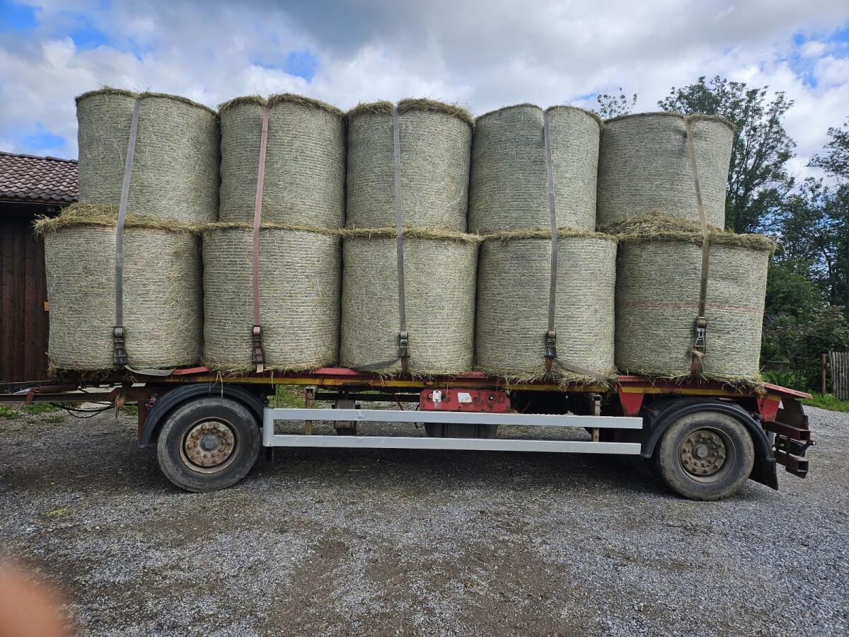 Bio Heuballen 2. Schnitt 2