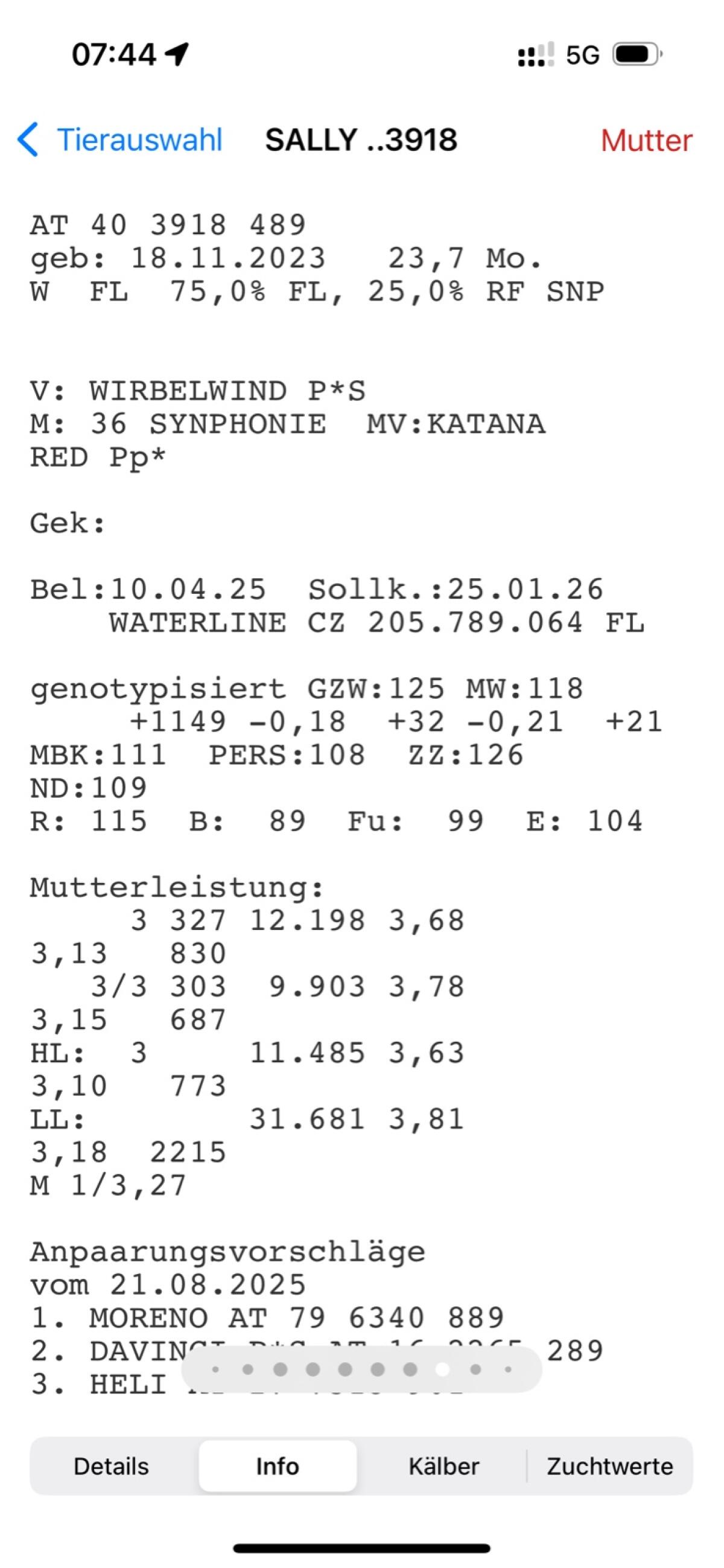 Trächtige Kalbin - Bio - 11.500 Mutterleistung 1