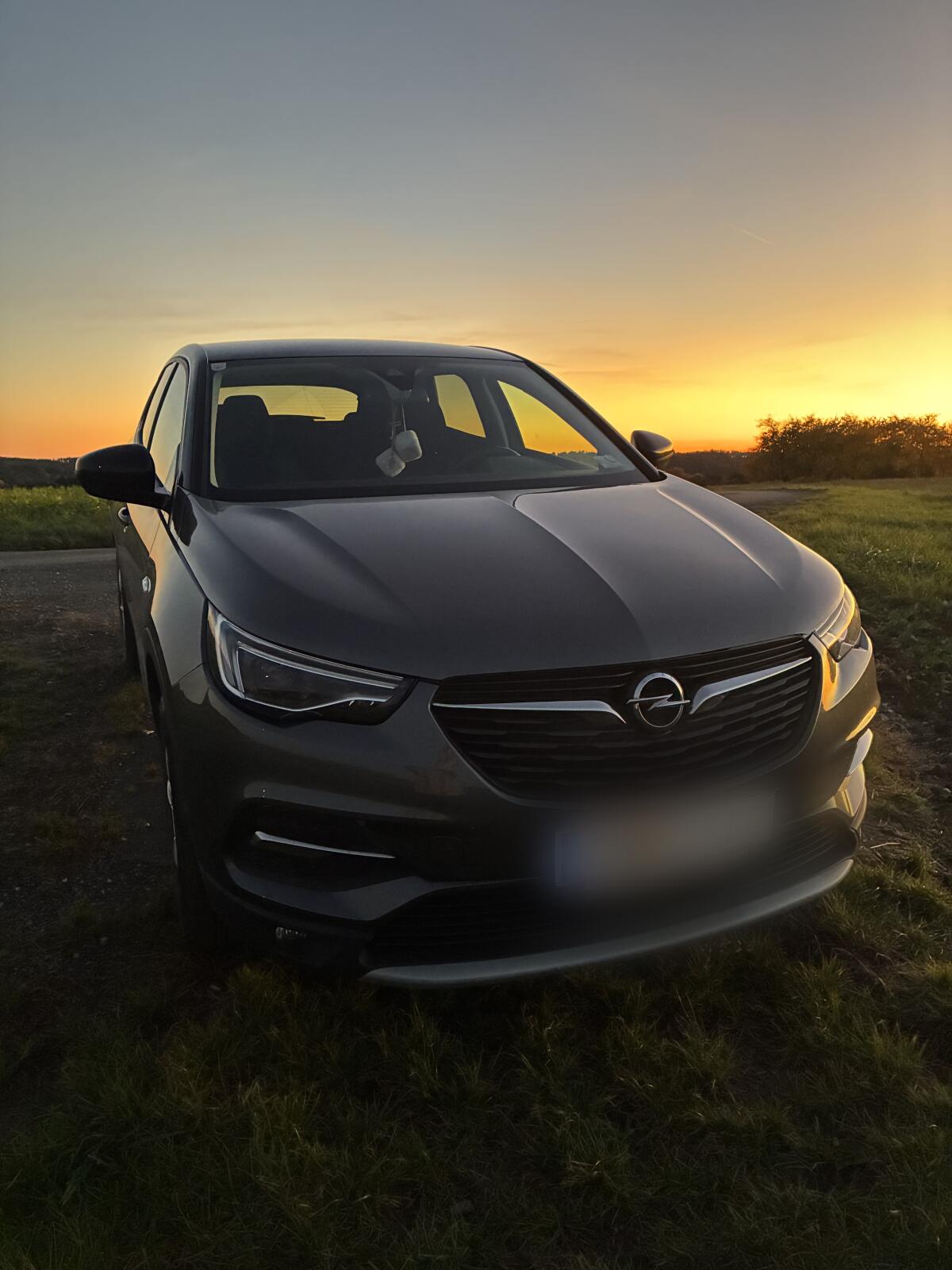 Opel Grandland X 1