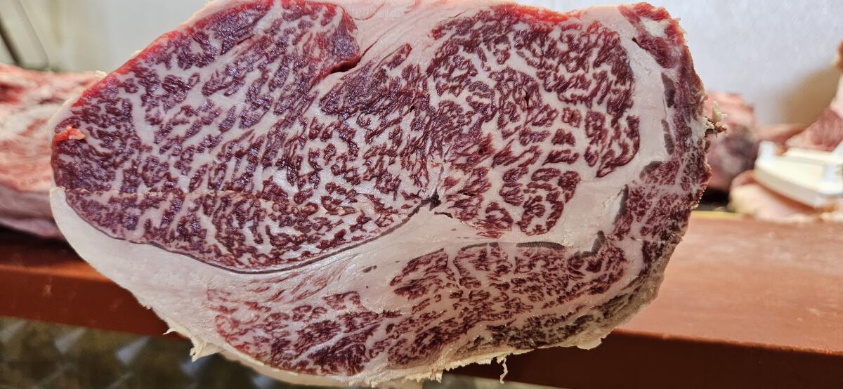 Wagyu, Kobe-Rinder 3