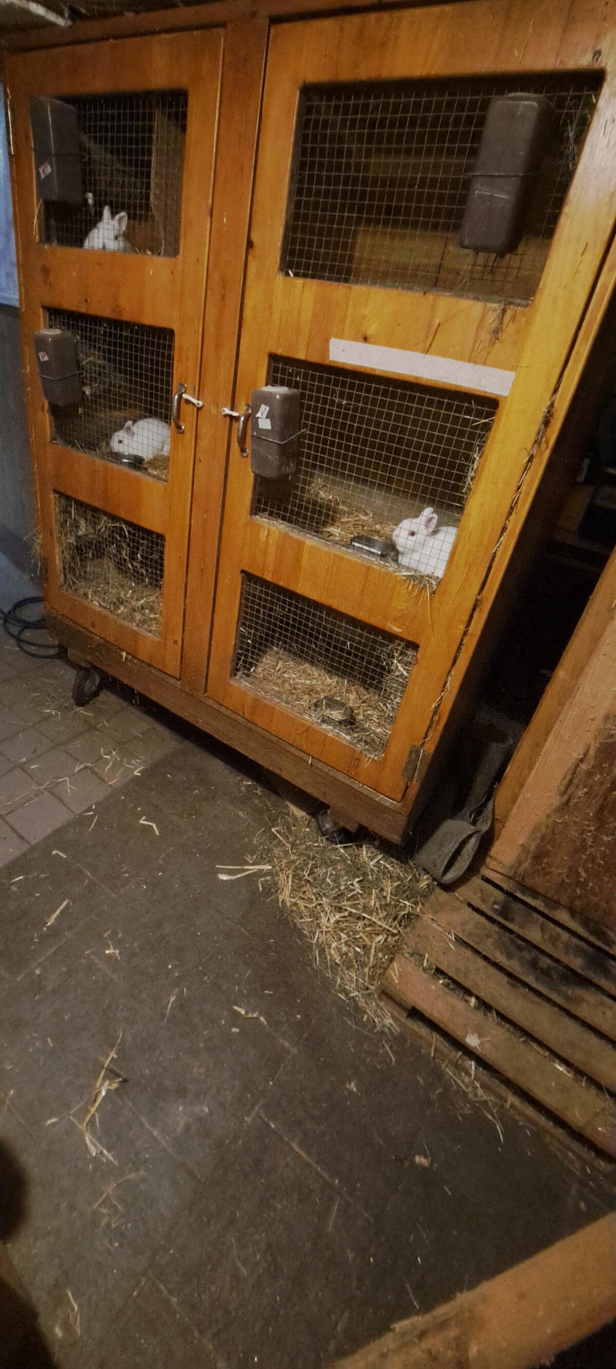 Hasenställe in verschiedenen Größen 2