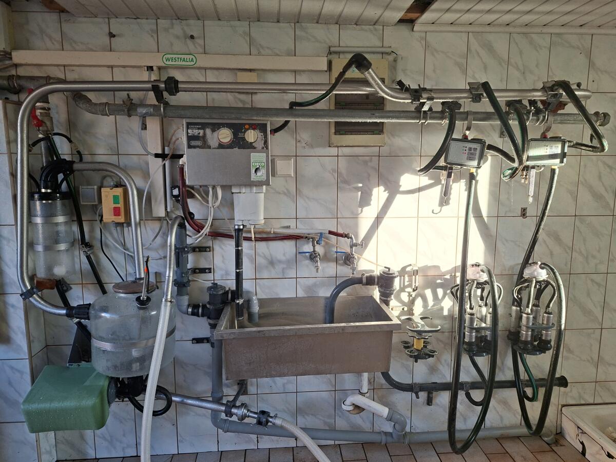 Rohrmelkanlage inkl. Kühlung 3
