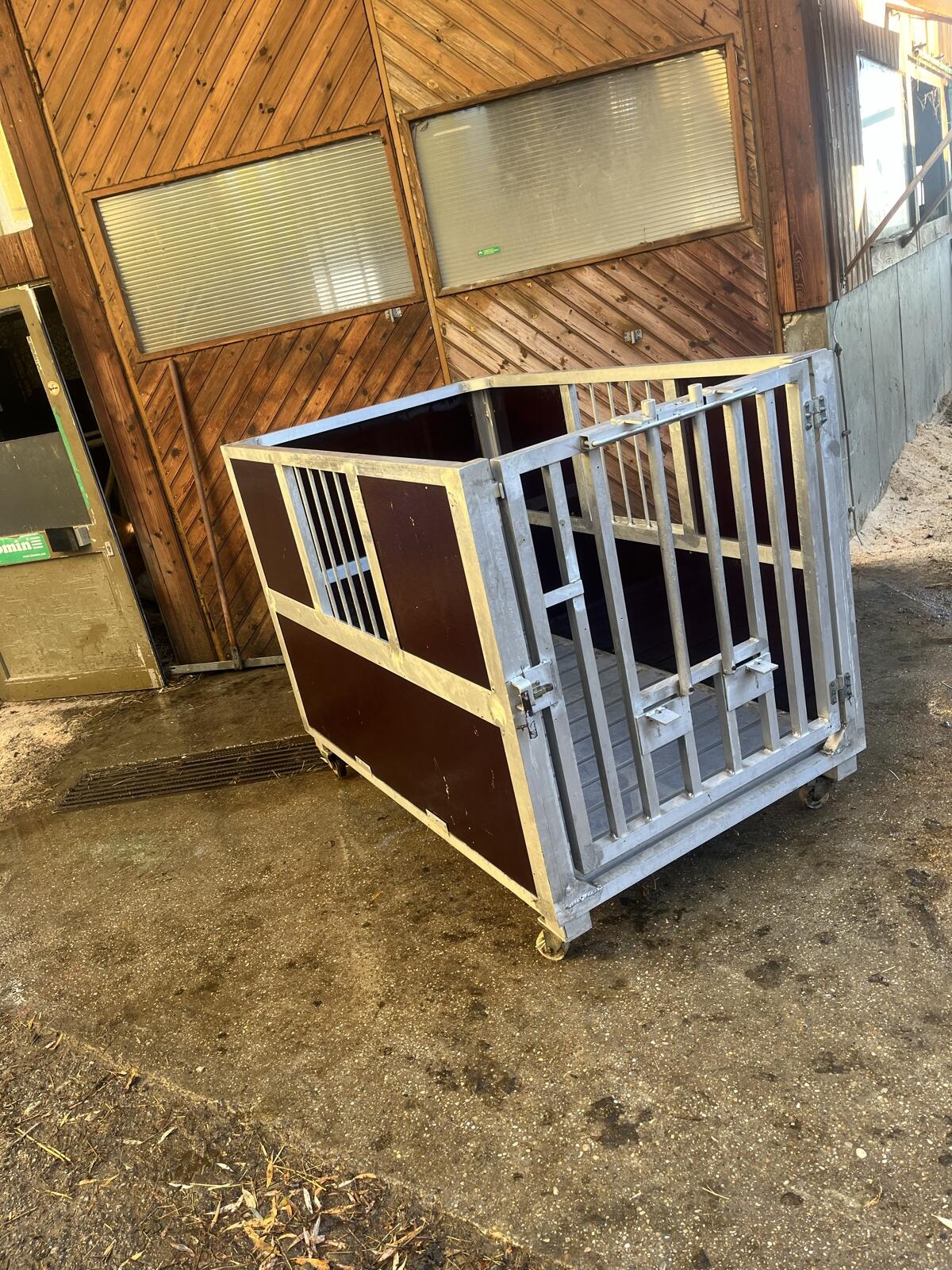 Kälberstall/Kälberbox 1