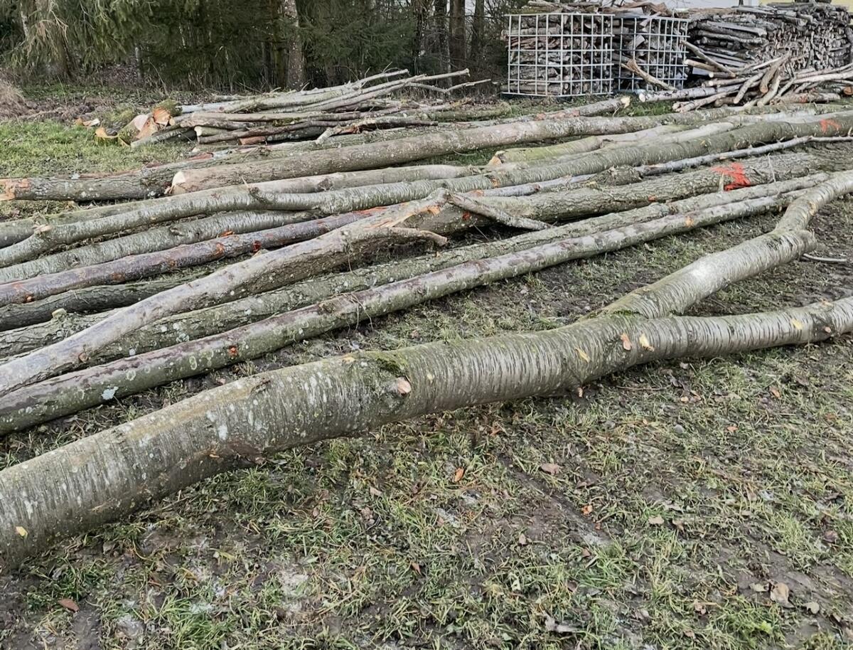 Forstarbeiten, Lohnspalten, Holzrückung 1