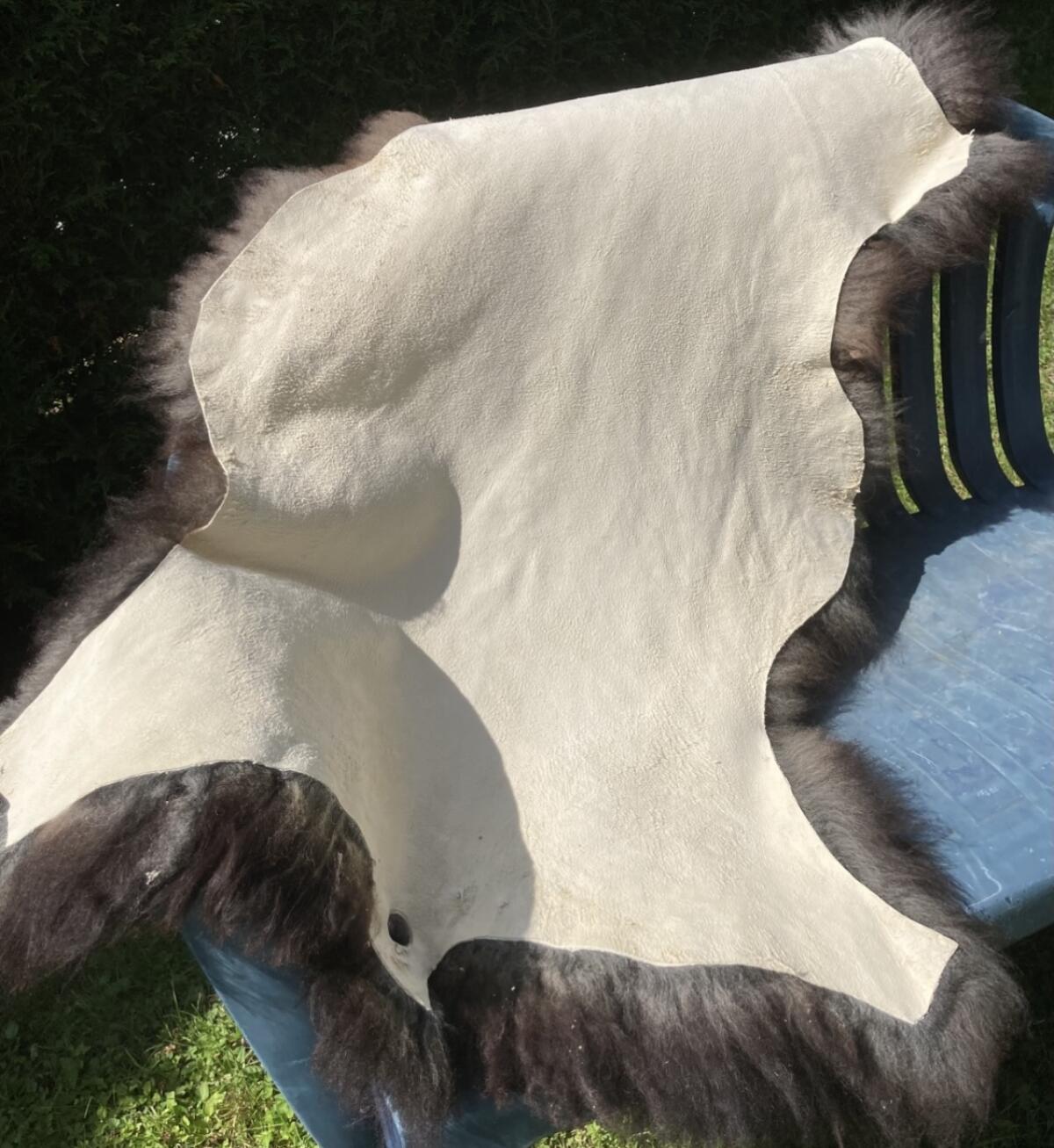 Lammfell vom Tiroler Steinschaf zu verkaufen 3