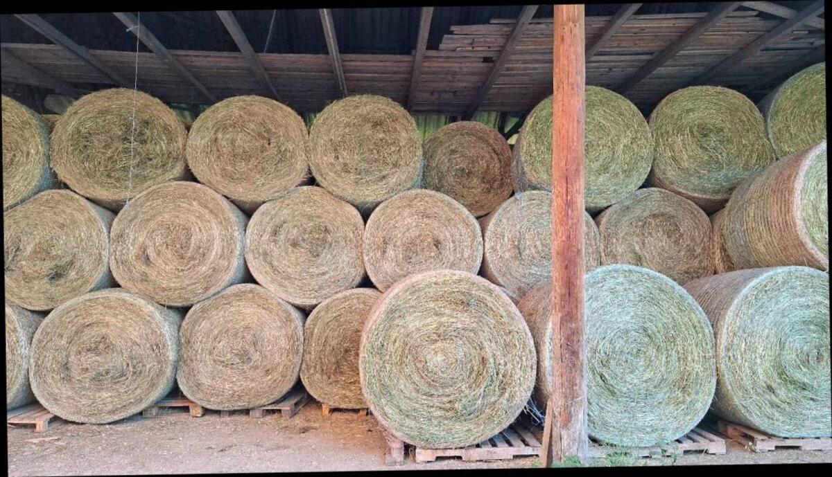 1. Schnitt Heuballen 2025 1