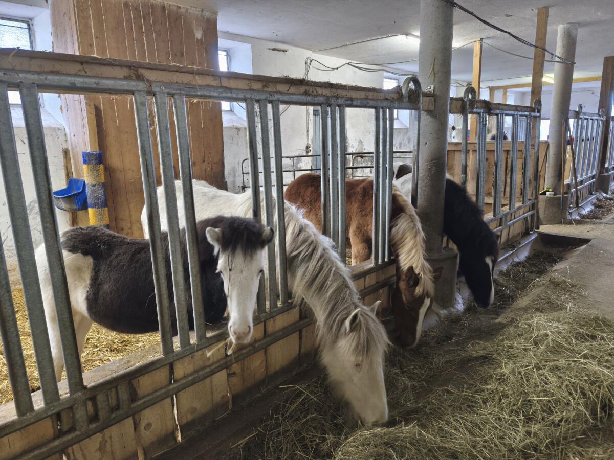 Einstellplätze frei 1