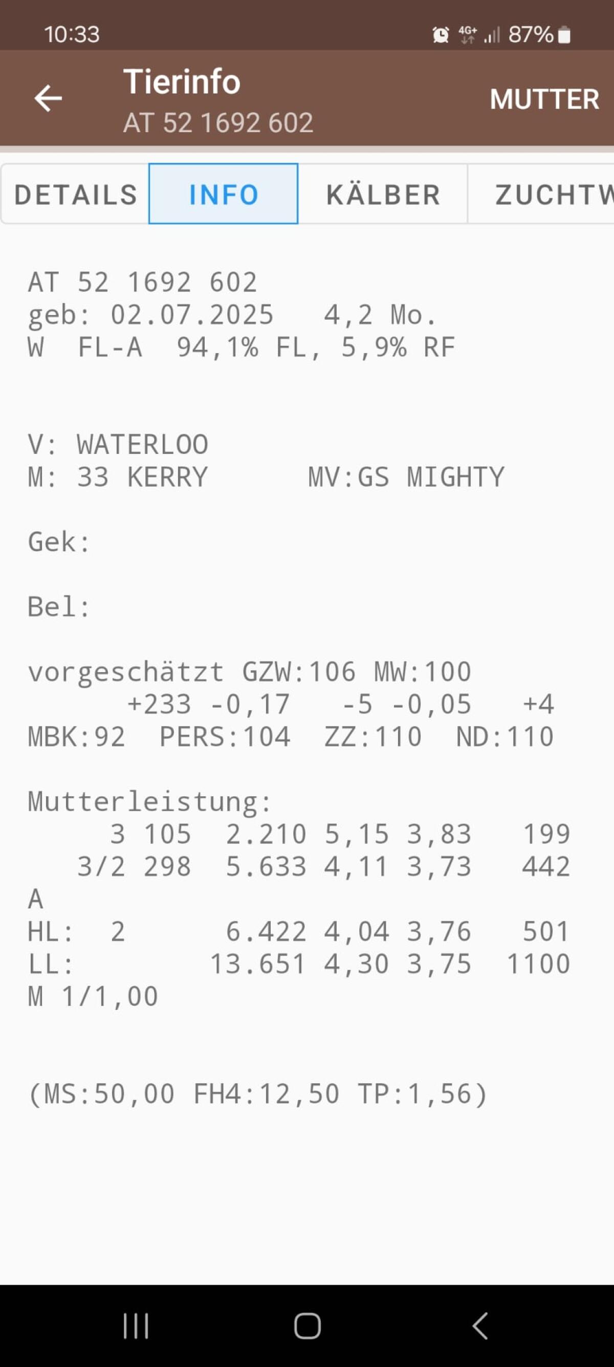 Fleckvieh Kälber weiblich, enthornt, entwöhnt 2