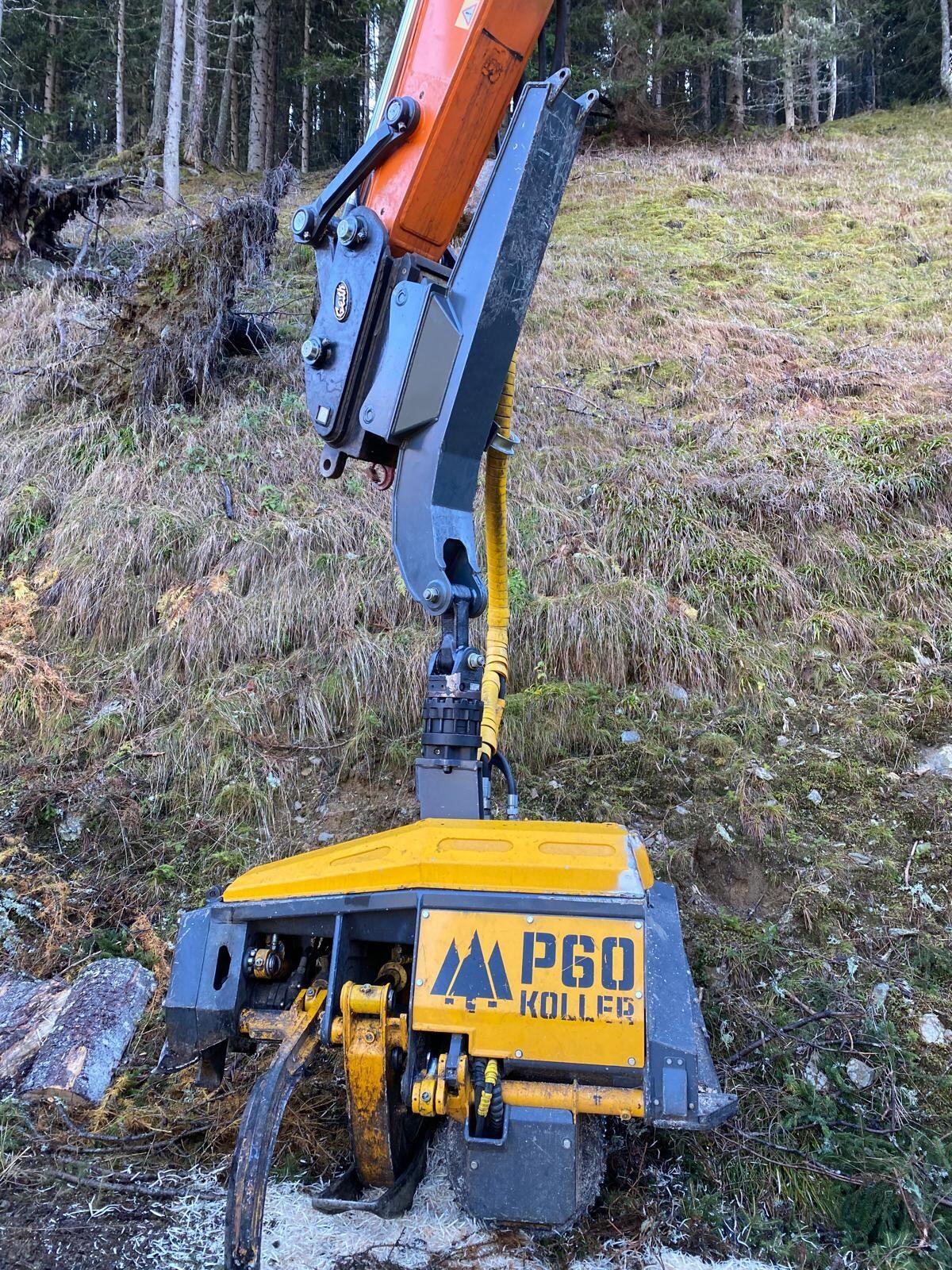 Prozessorkopf Koller P60 2