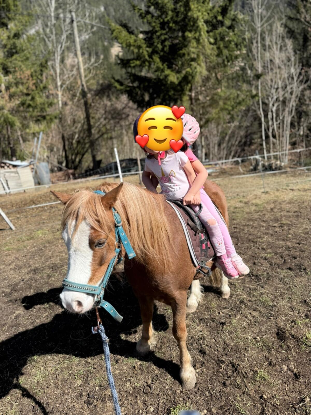 Kinderpony Welsh A Wallach 3