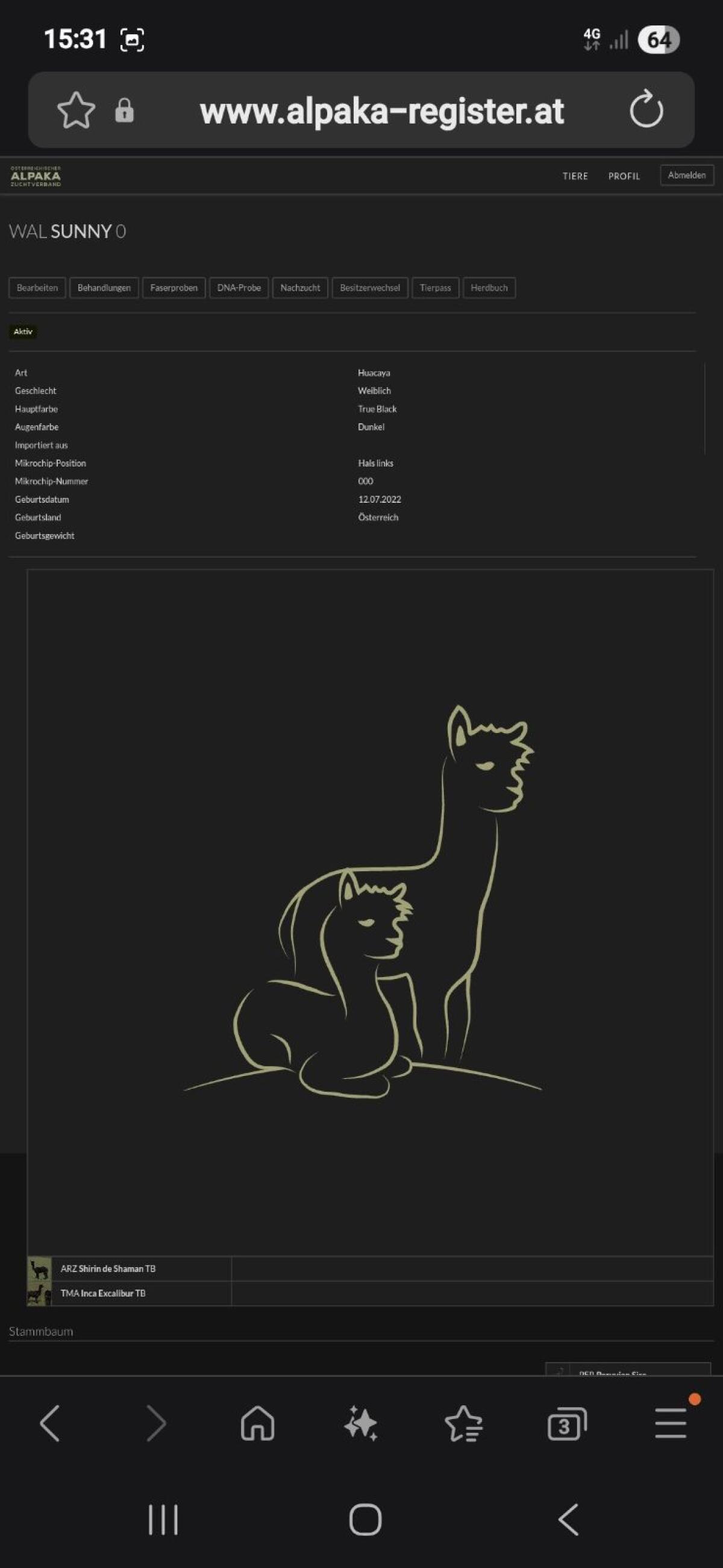 Alpaka Zuchtstuten 3