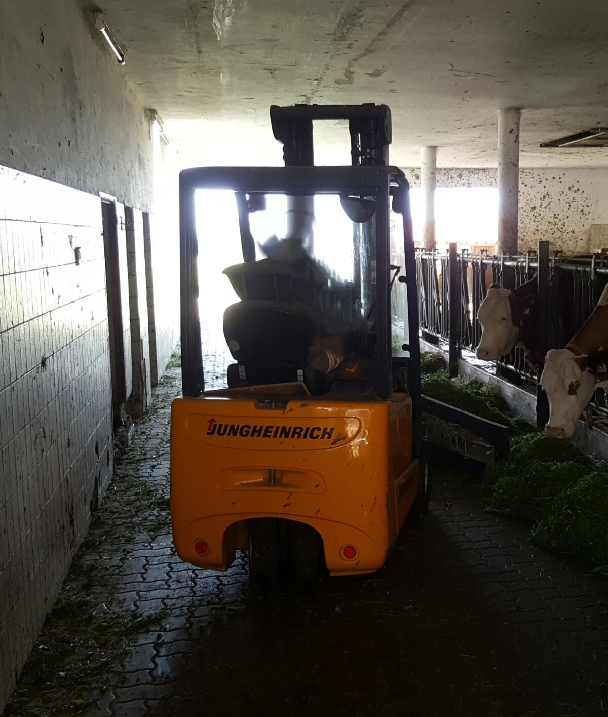 Jungheinrich Elektrostapler EFG-DF 13 2