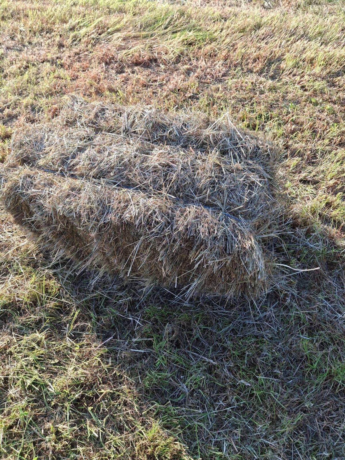 Bio Kleinballen Hochdruckballen 3