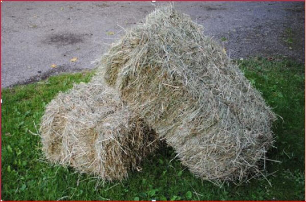 Heu in Kleinballen 1