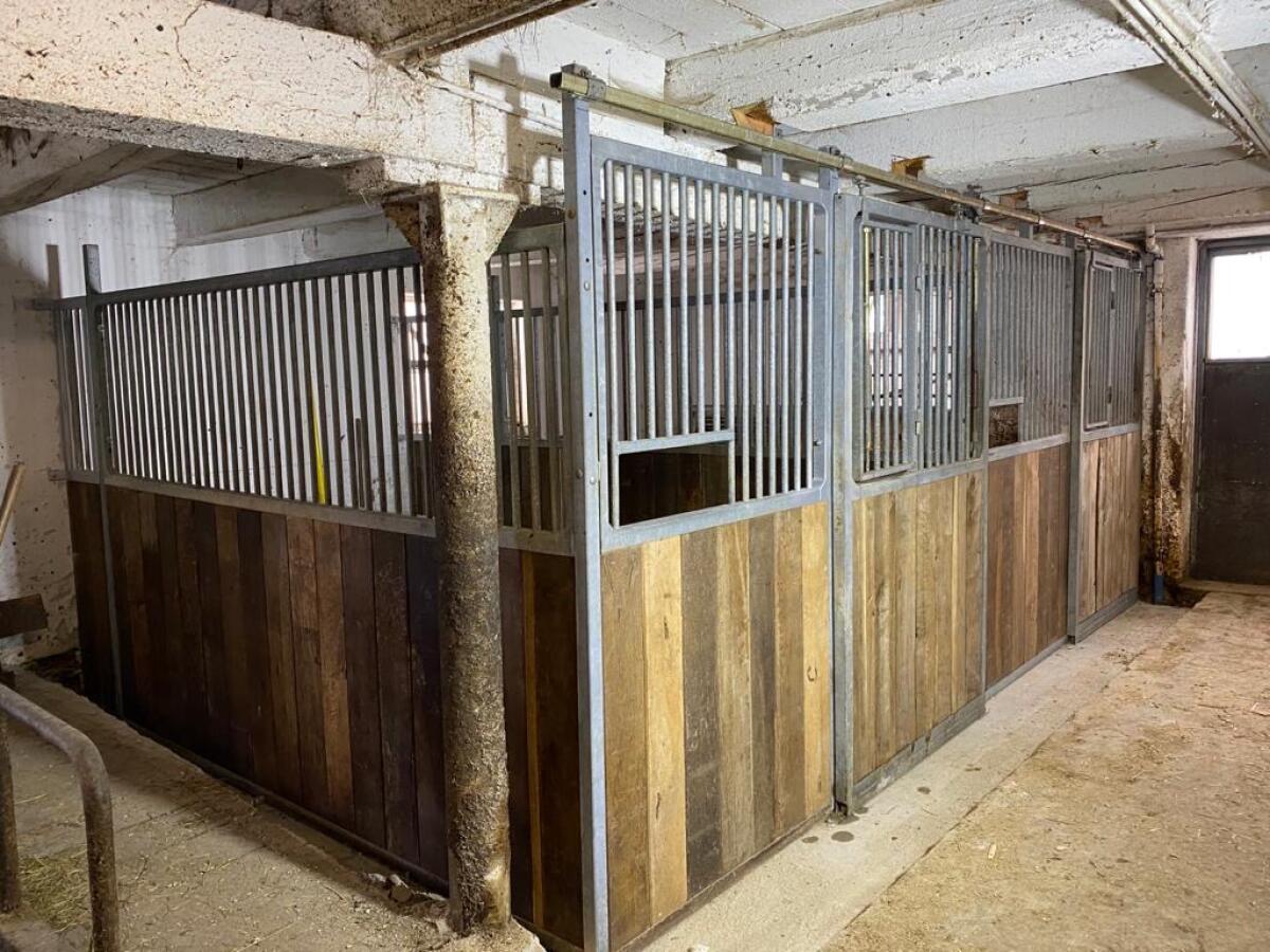 Einstellplatz und Wohnung 3