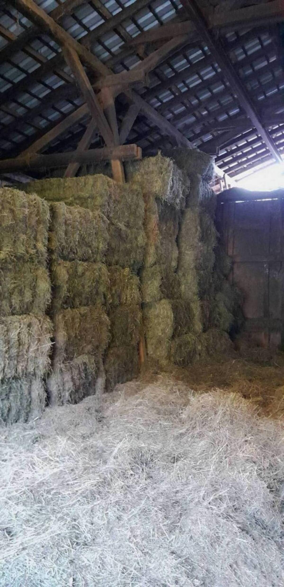 Quaderballen 1. Schnitt 1