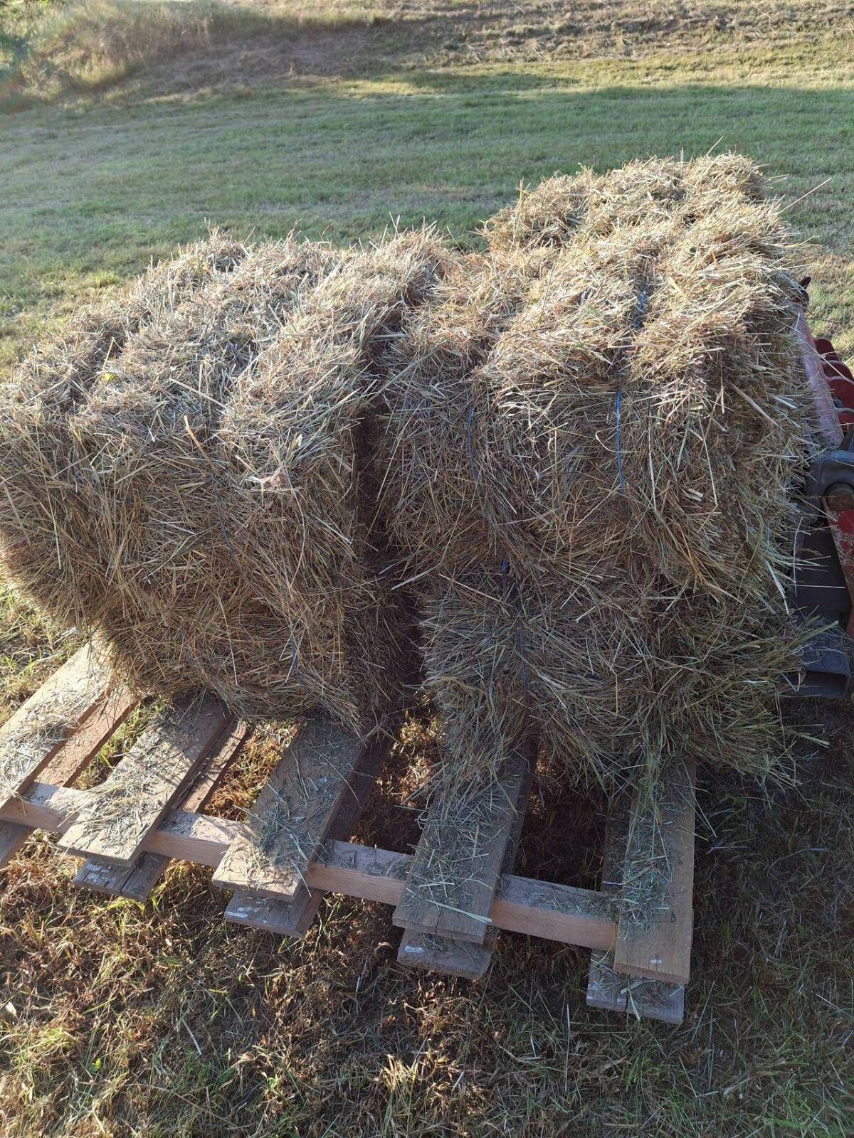 Kleinballen Hochdruckballen 3