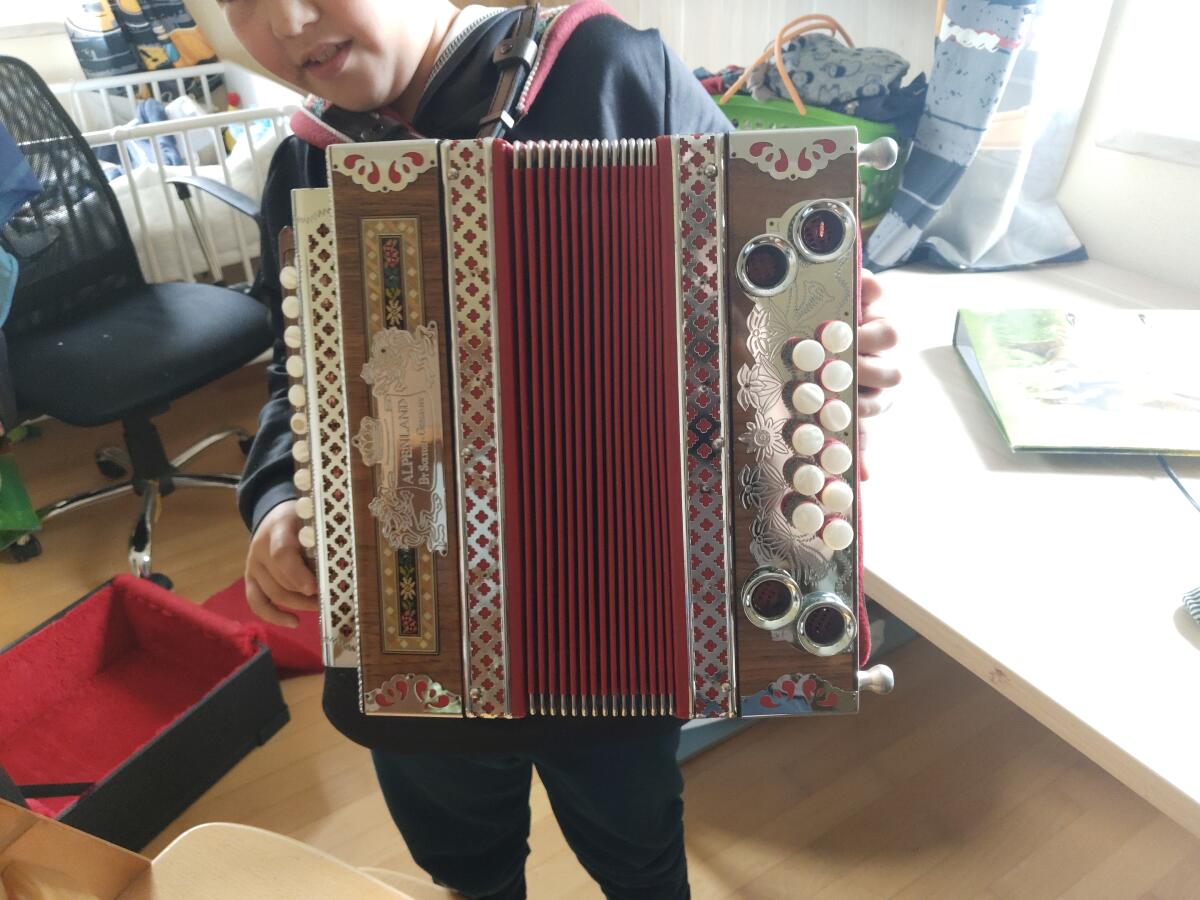 Verkaufe Steirische Ziehharmonika für Kinder 2